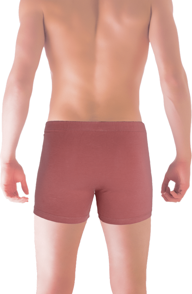 Unique Bosphorus Classic Erkek Boxer Kızıl Kahve