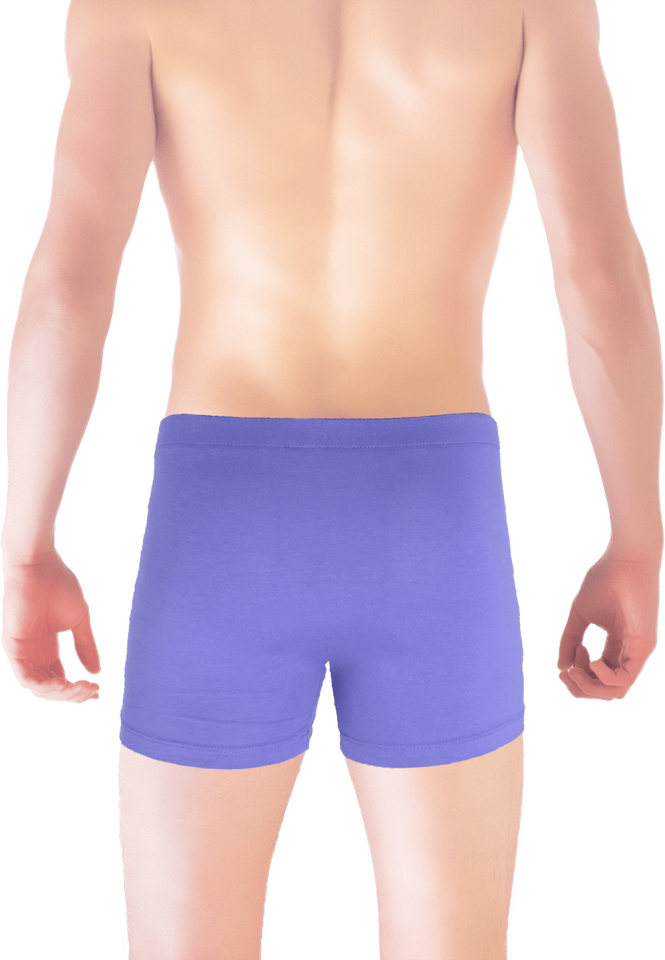 Unique Bosphorus Classic Erkek Boxer Lila