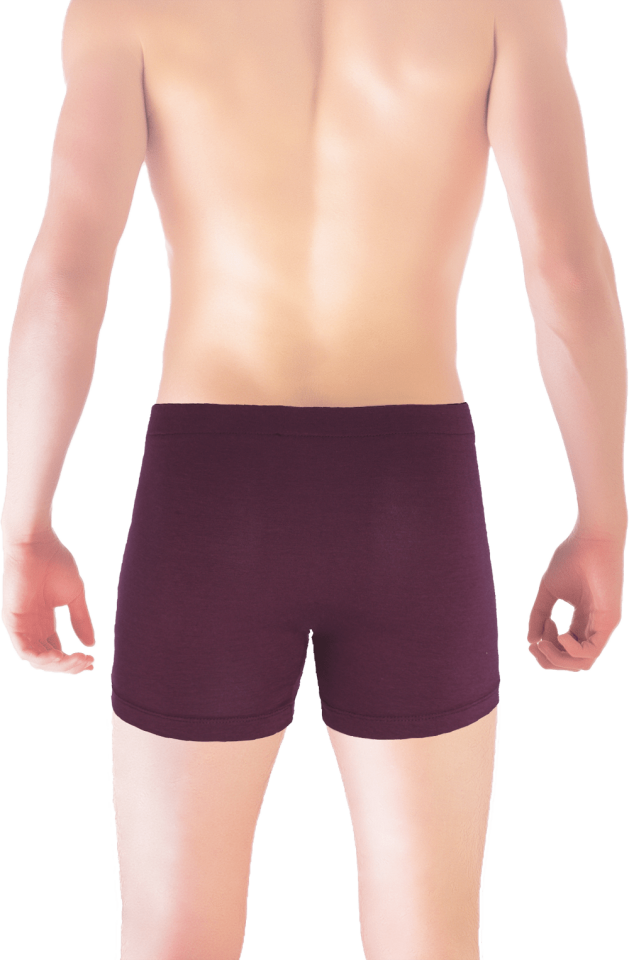 Unique Bosphorus Classic Erkek Boxer Mürdüm