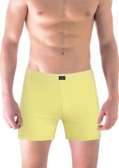 Classic Kükürt Sarısı Renk Erkek Boxer