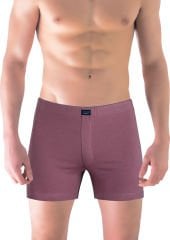 Classic Ekinezya Renk Erkek Boxer