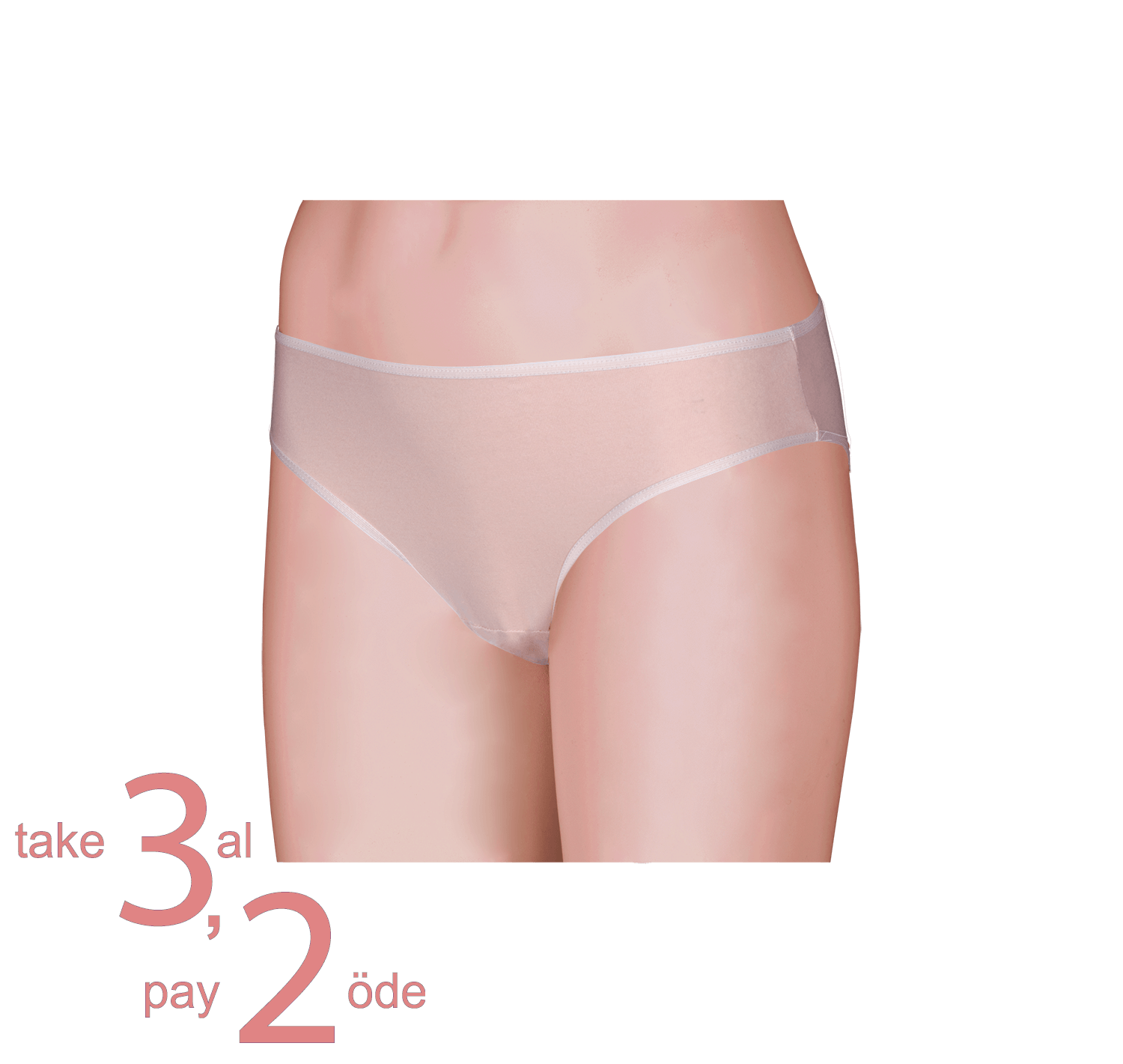 Unique Bosphorus Classic Kadın Slip 3'lü Paket Ten Rengi